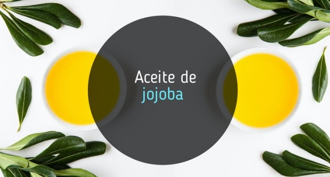 Aceite de Jojoba, Propiedades y usos