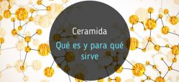 Ceramida, qué es y para qué sirve