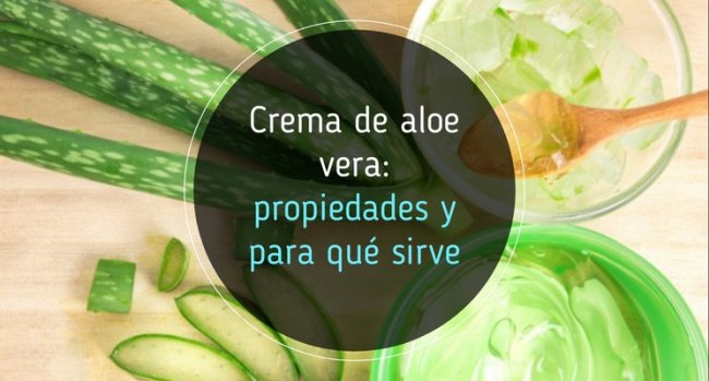 Crema de aloe vera: propiedades y para qué sirve